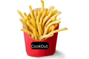 Regular Fries